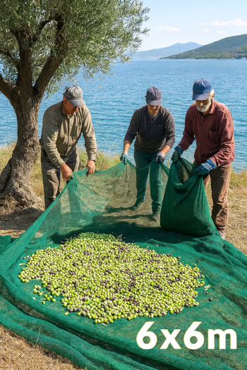 Mreža za berbu maslina 6x6m sa zakovicama