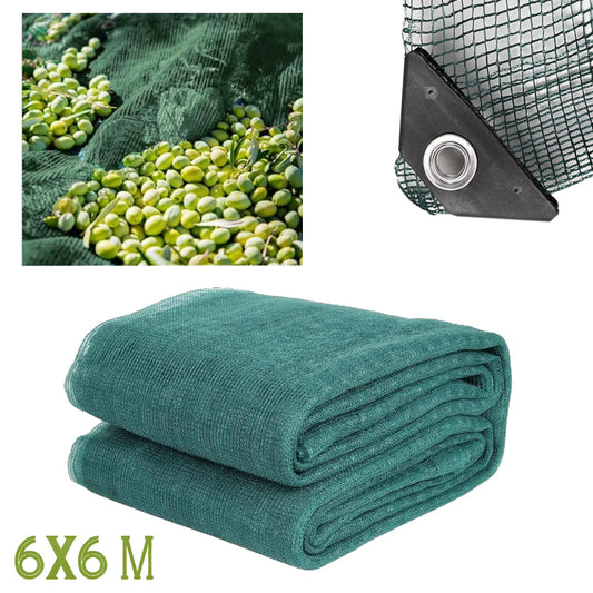 Mreža za berbu maslina 6x6m sa zakovicama
