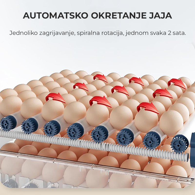 Inkubator za 56 jaja sa kontrolom vlage i temperature