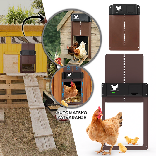 Automatska vrata za kokošinjac